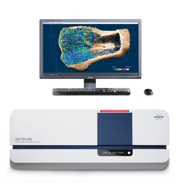 Microtomography