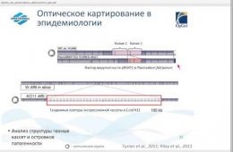 Embedded thumbnail for Технология полногеномного оптического картирования OpGen: применение в геномике, микробиологии и эпидемиологии